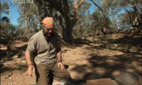Наука выживать / Survivorman