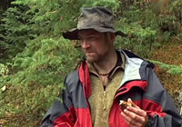 Наука выживать / Survivorman