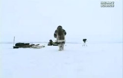 Наука выживать / Survivorman