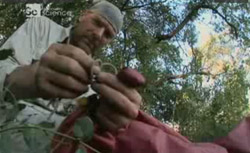 Наука выживать / Survivorman