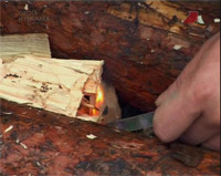 Следопыт с Глебом Данильцевым